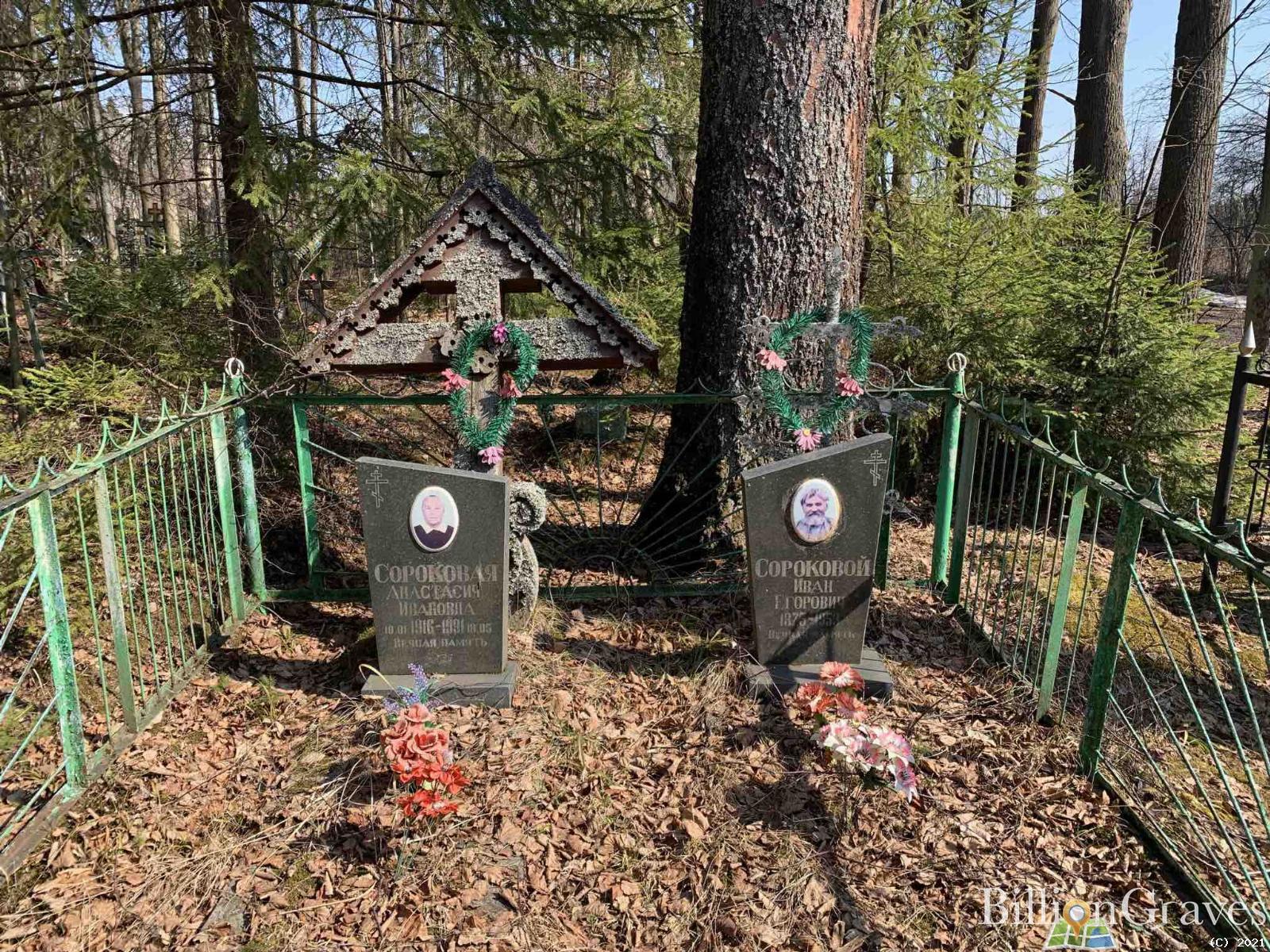 Сороковая Анастасия Ивановна