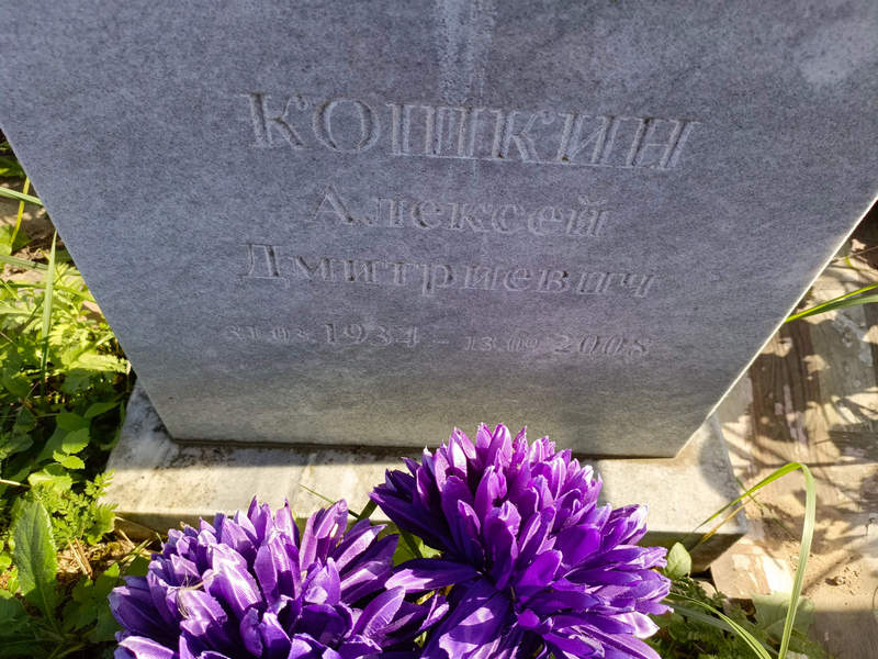 Кошкин