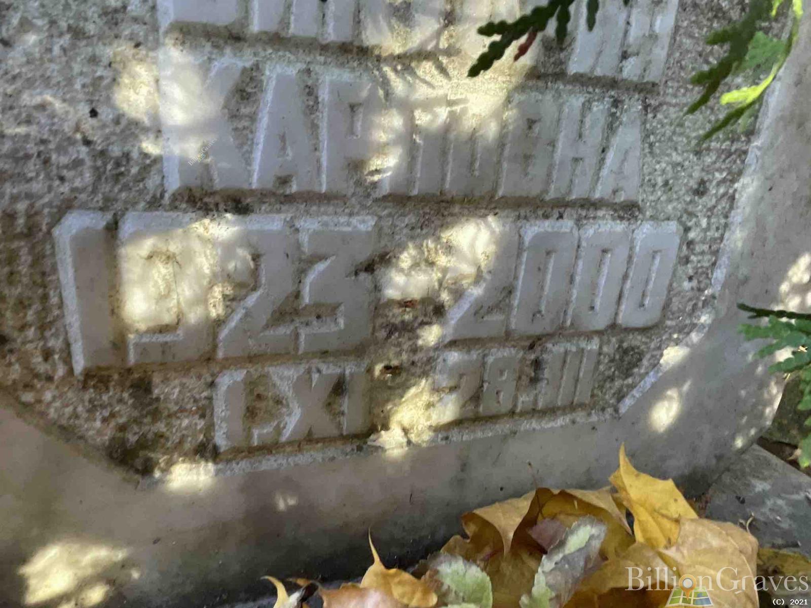 Бережная Виктория Карловна