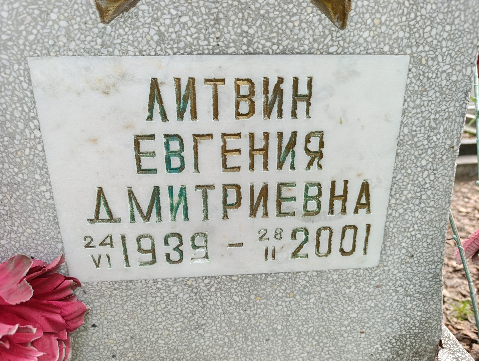 Литвин Евгения Дмитриевна