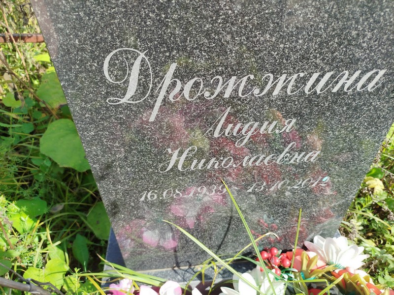 Дрожжина