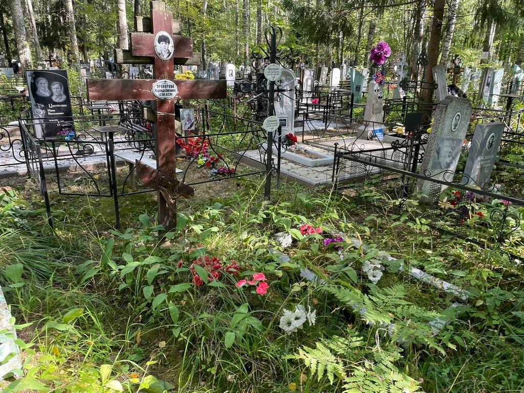 Прохорова Надежда Сергеевна