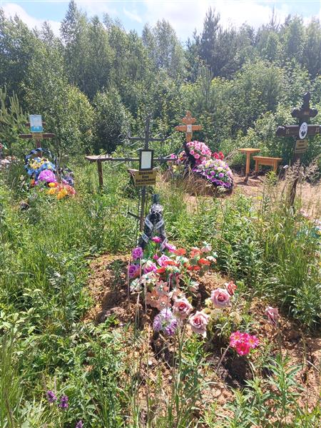 Шевелев Олег Васильевич