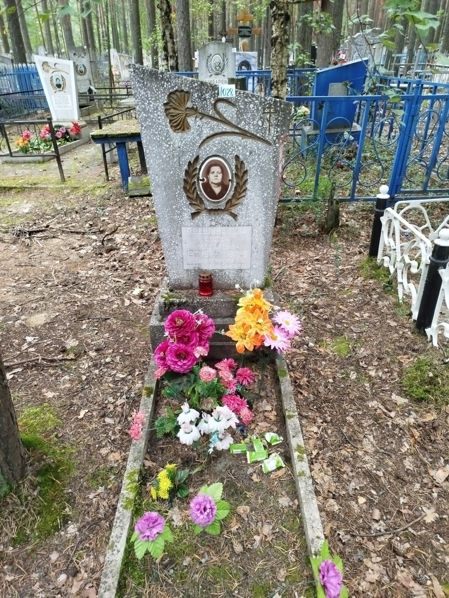 Подшивалова Софья Николаевна
