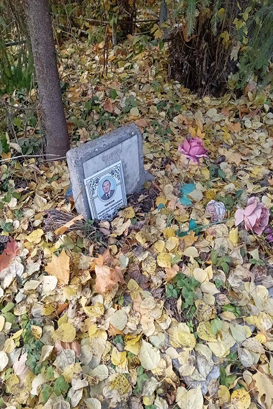Чижова Елизавета Алексеевна