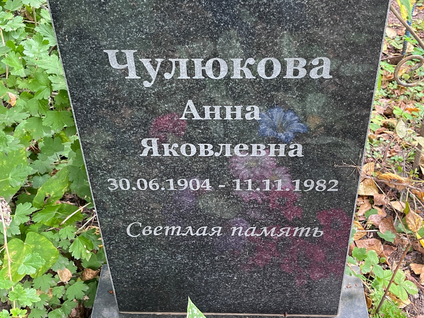 Чулюкова