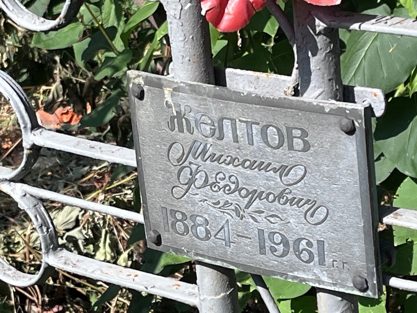 Желтов