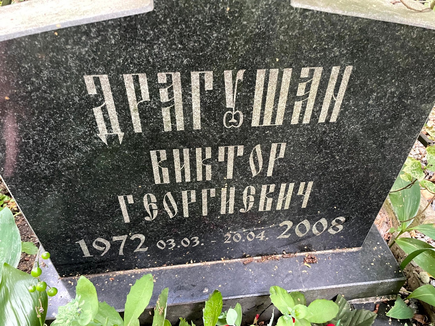 Драгушан
