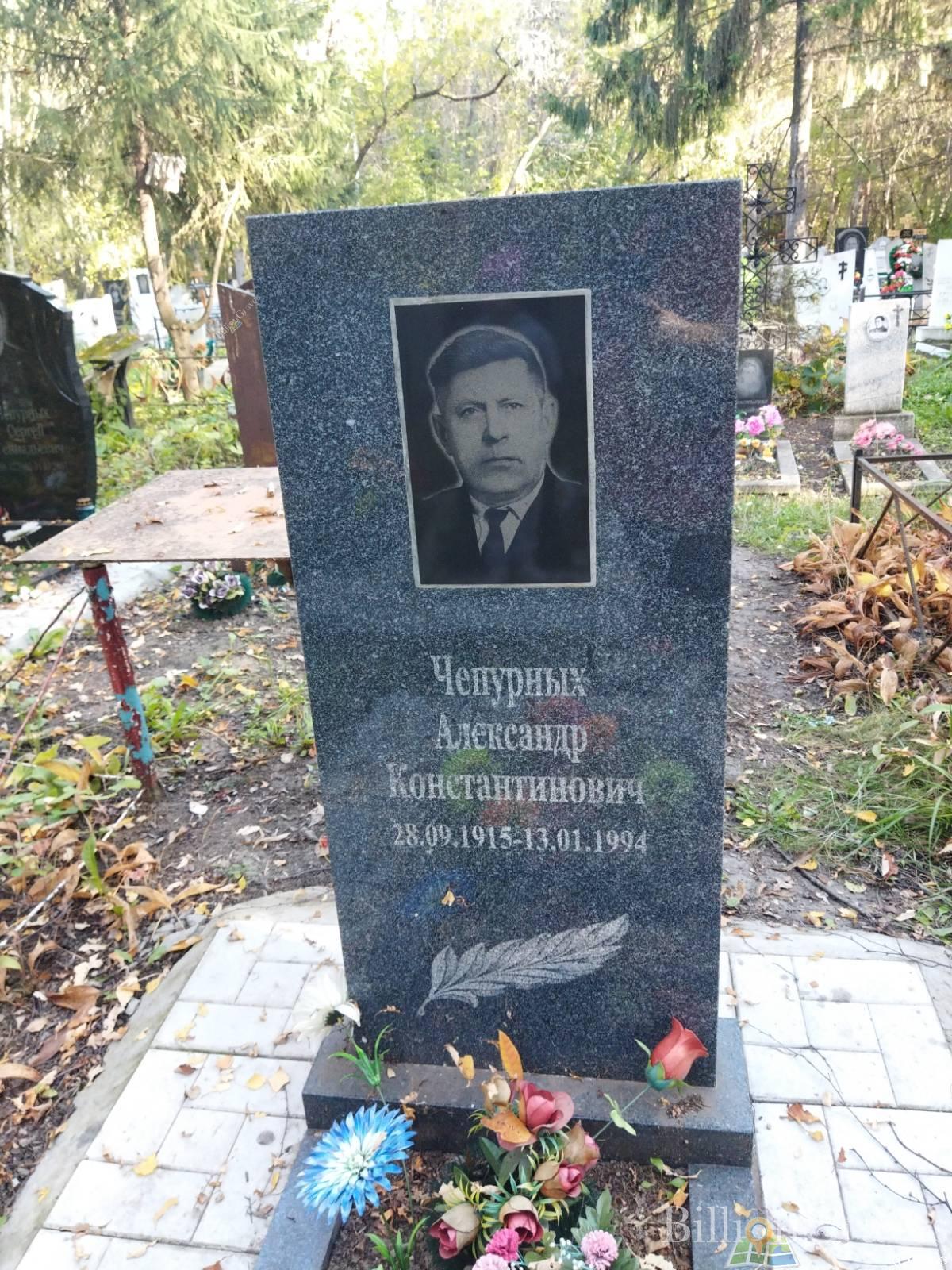 Чепурных Александр Константинович
