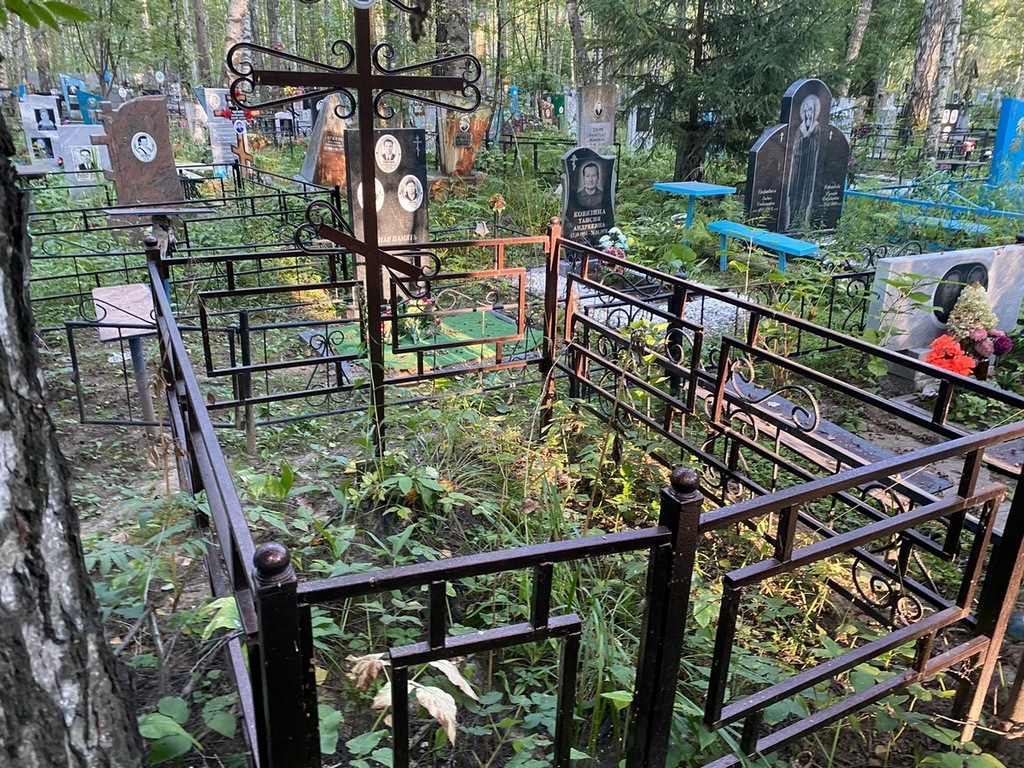 Сорокина Анастасия Алексеевна