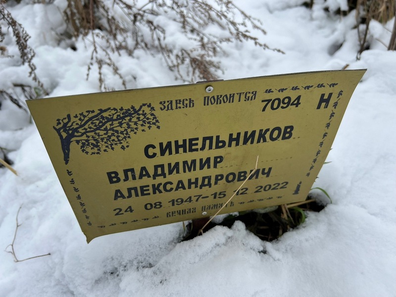 Синельников
