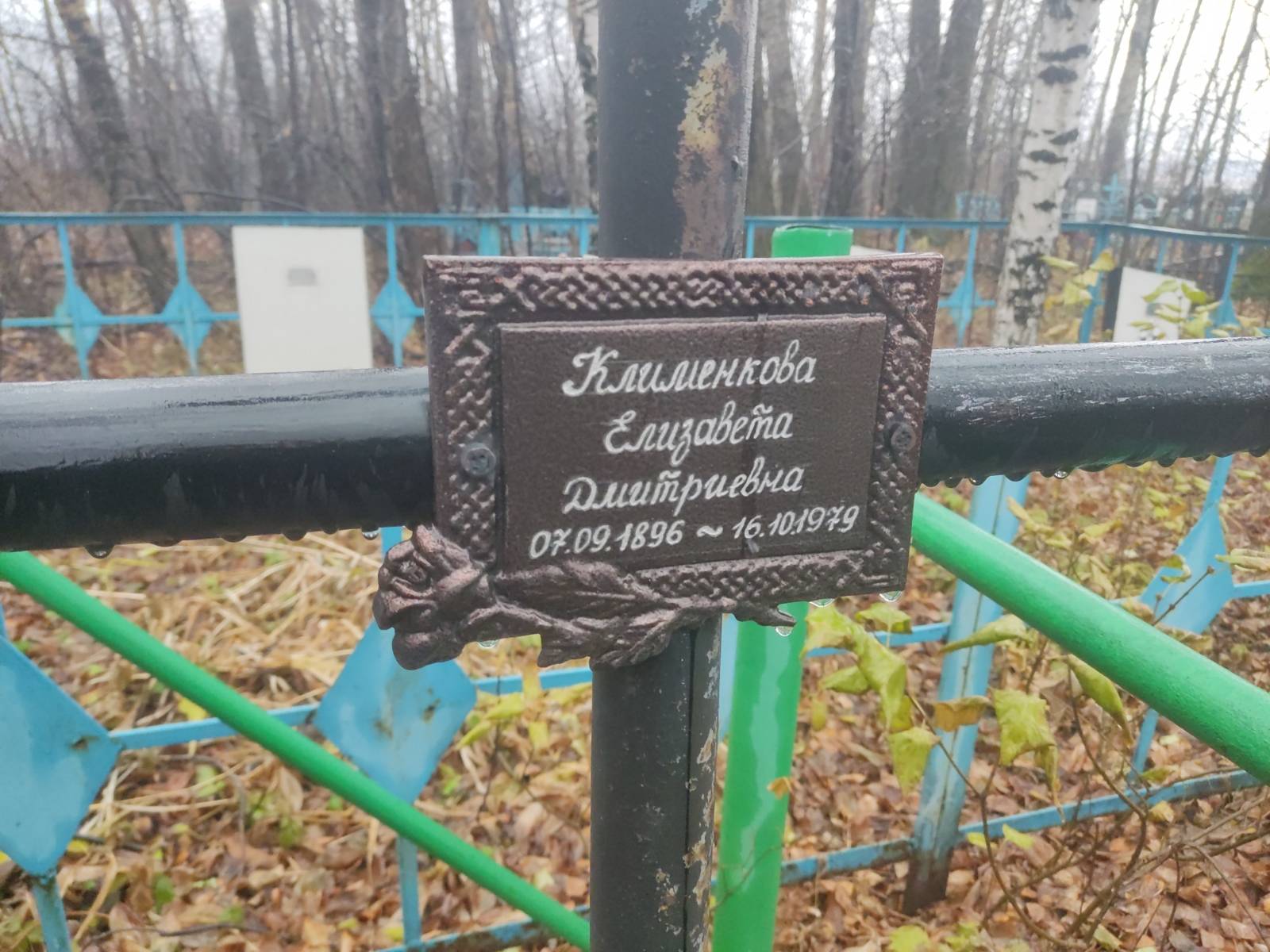 Клименкова Елизавета Дмитриевна