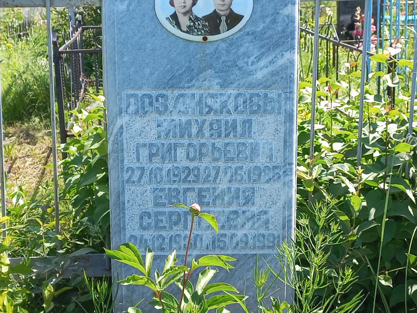 Поздняков Евгения Сергеевна