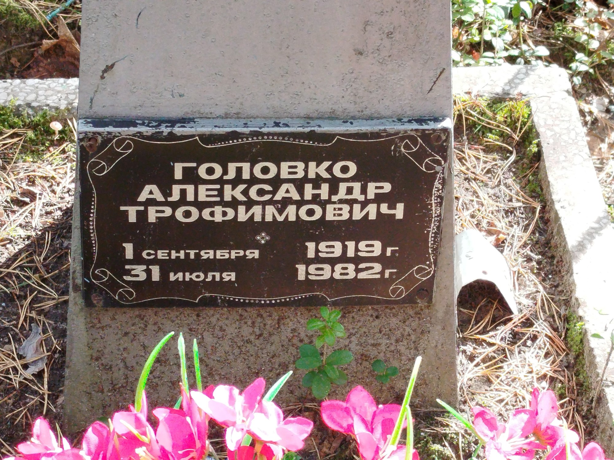 Головко Александр Трофимович