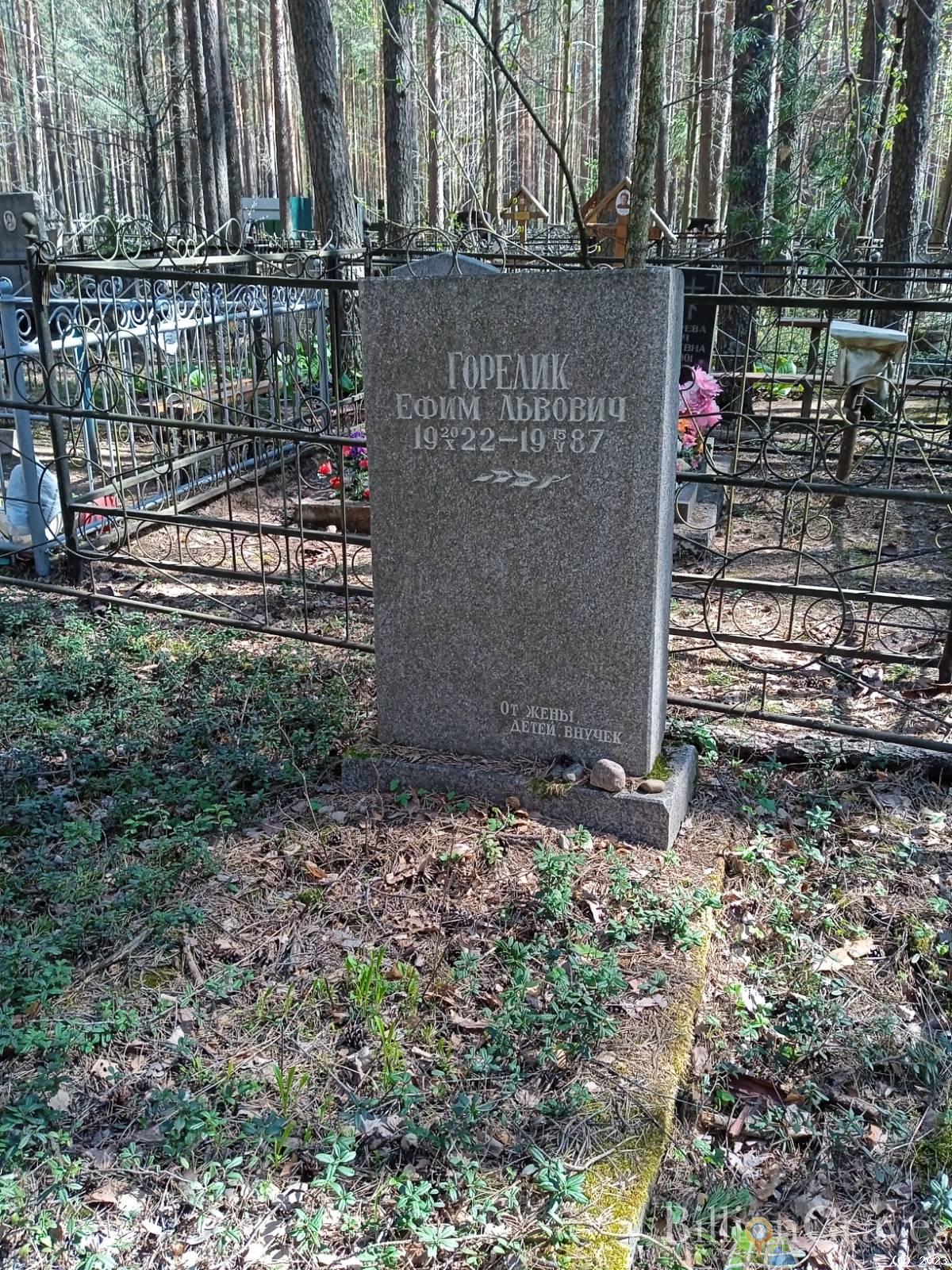 Горелик Ефим Львович