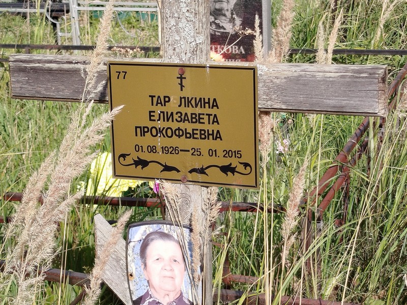 Тарелкина