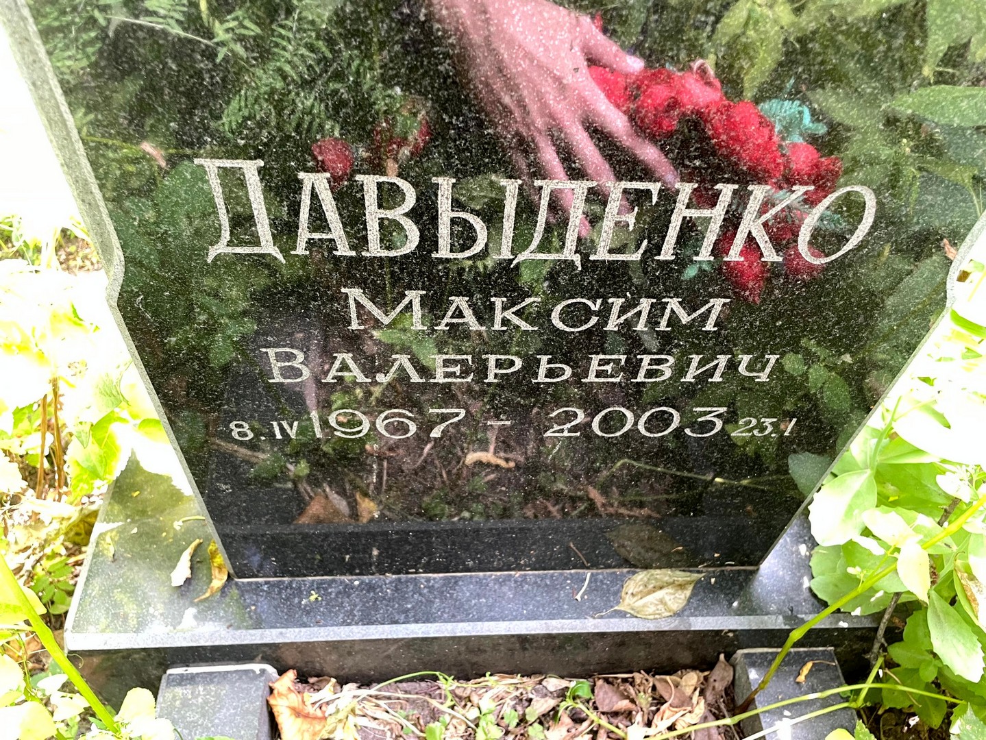 Давыденко