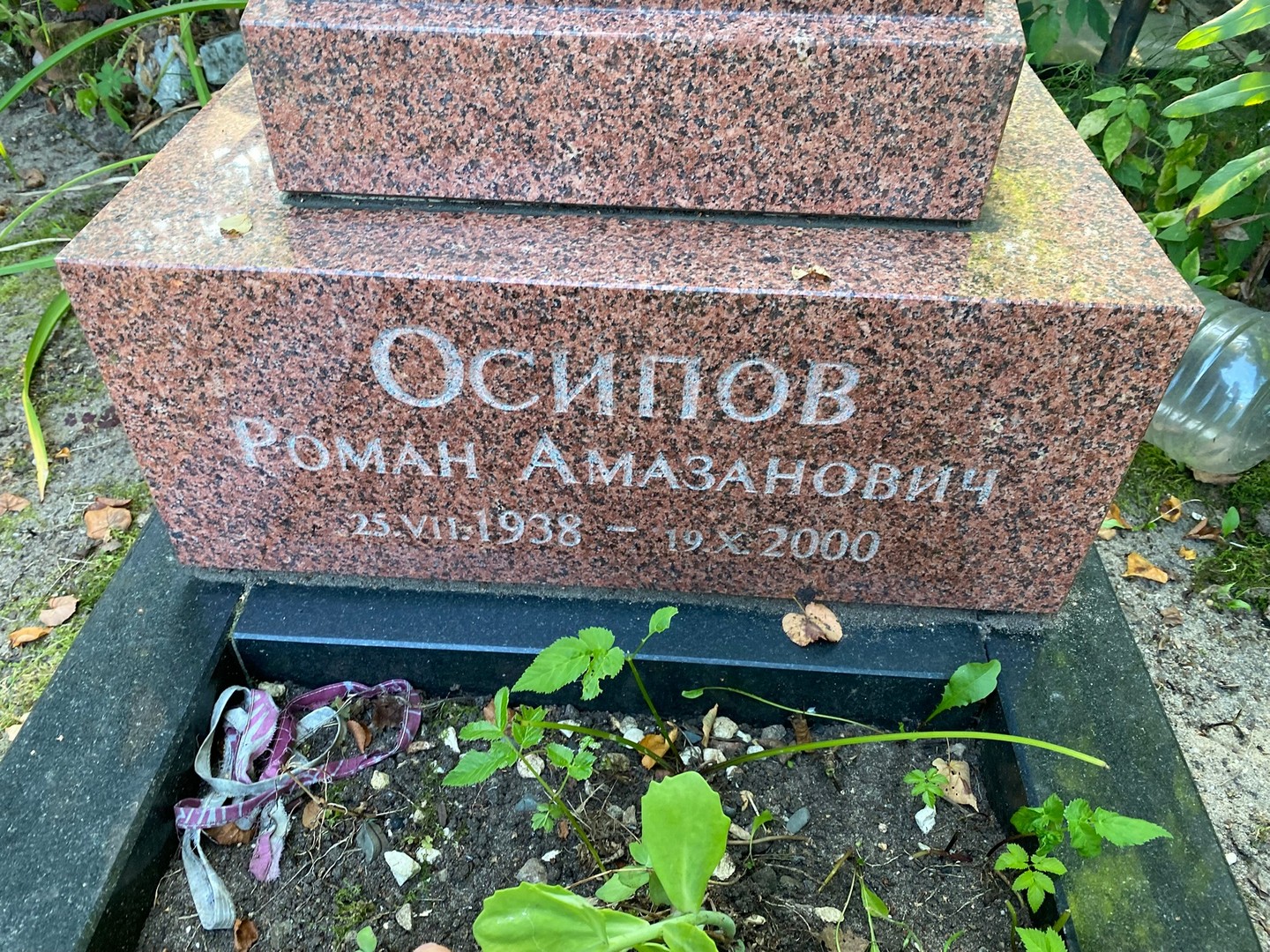 Осипов