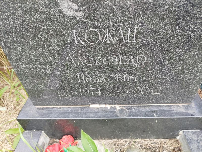 Кожан