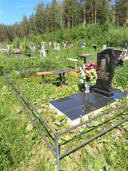 Никифоров Николай Григорьевич
