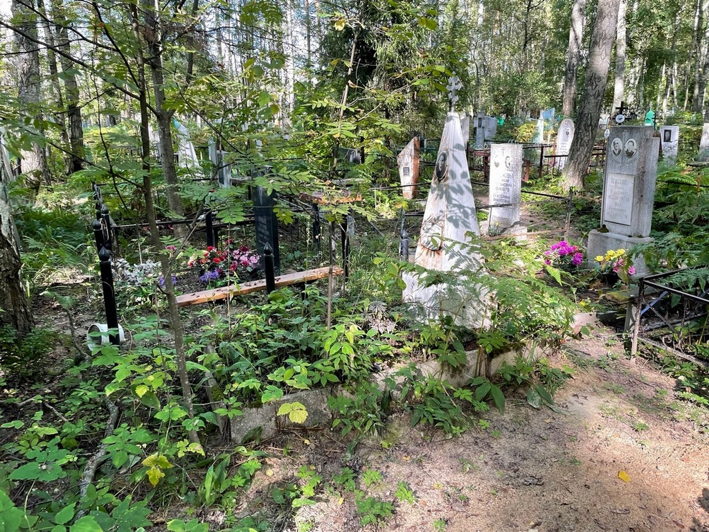 Чернова Анна Алексеевна