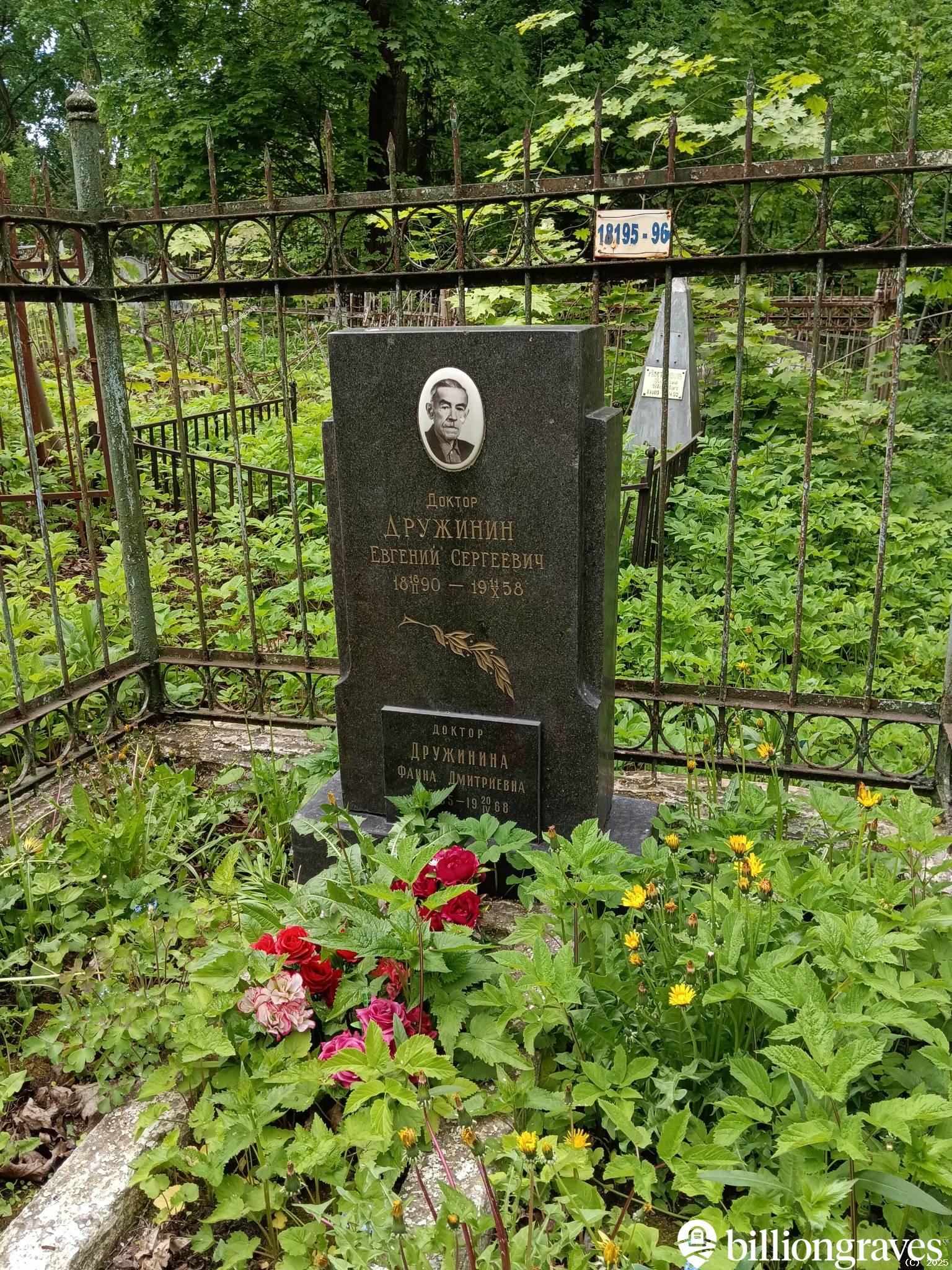Дружинина Фаина Дмитриевна