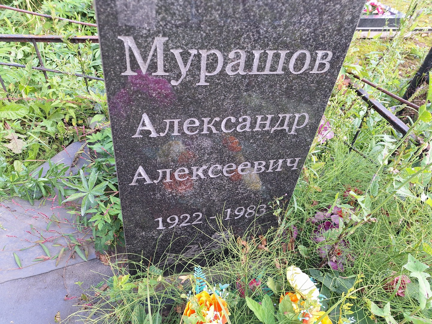 Мурашов
