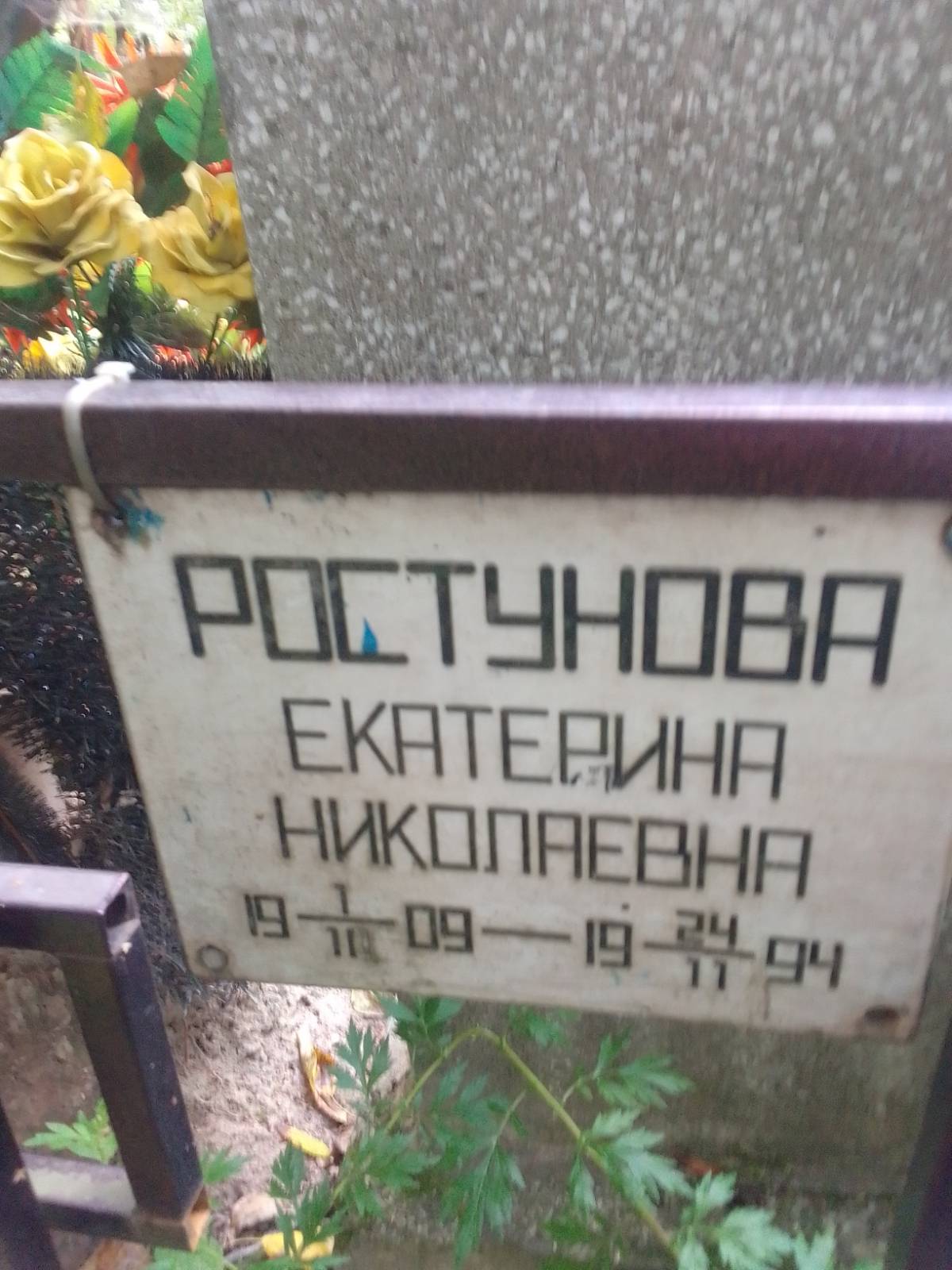 Ростунова Екатерина Николаевна