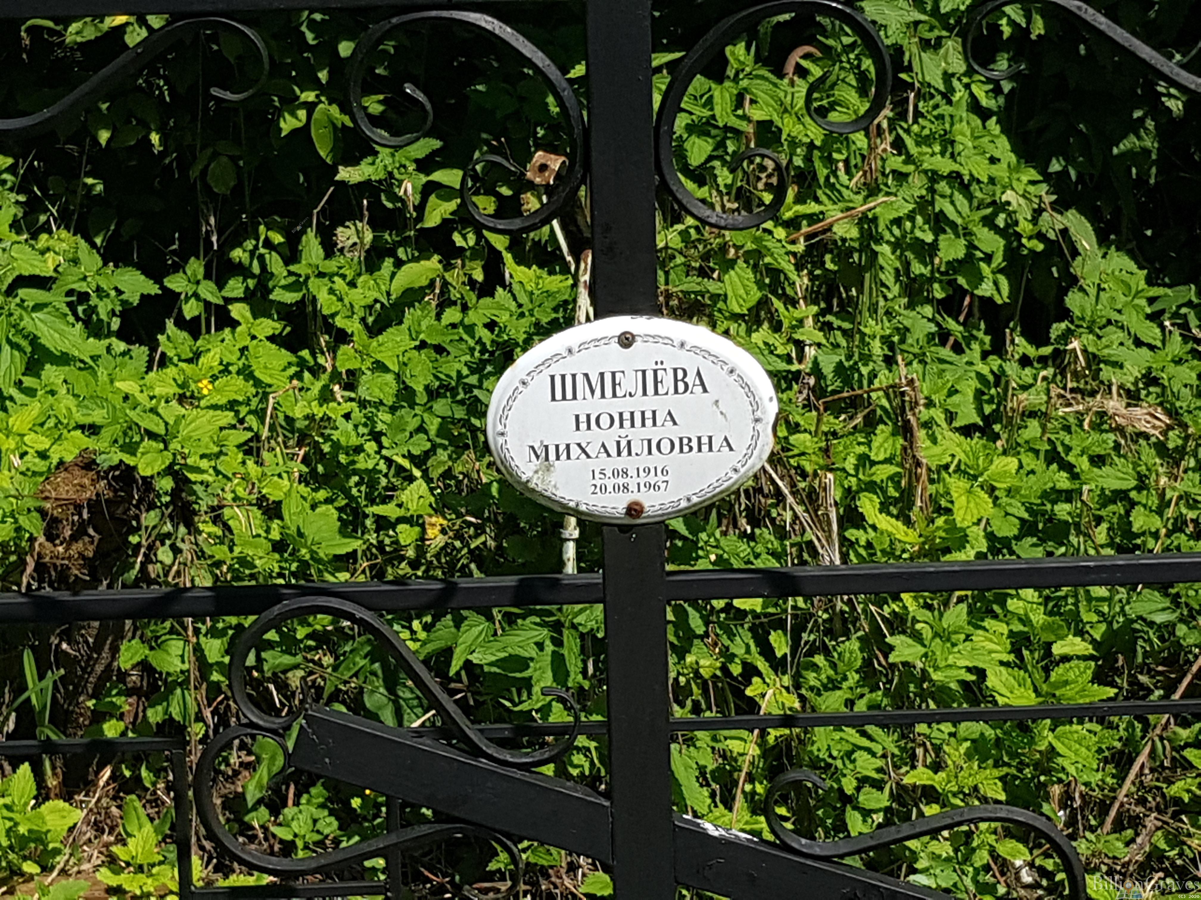 Шмелева Нонна Михайловна