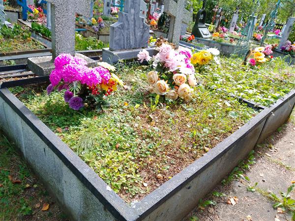 Беляева Галина Степановна