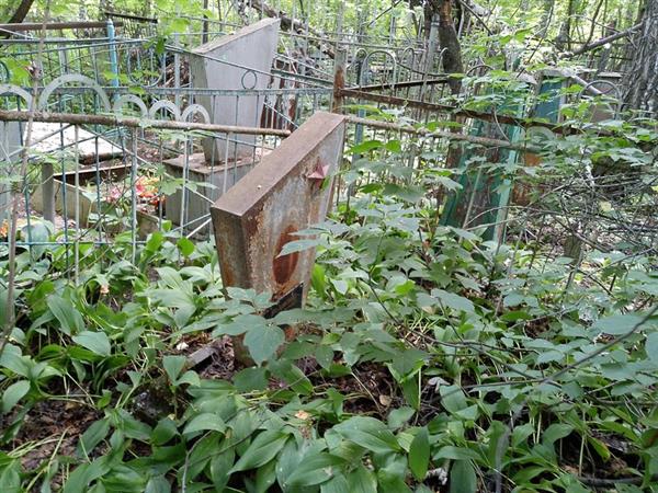 Коловский Василий Петрович