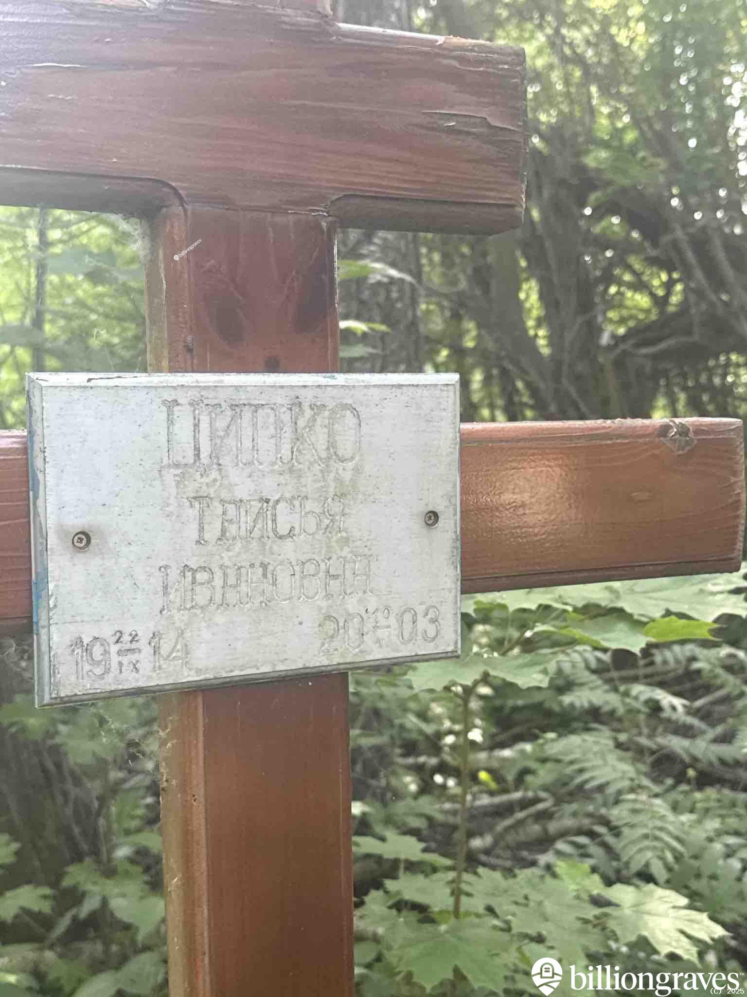 Ципко Таисья Ивановна