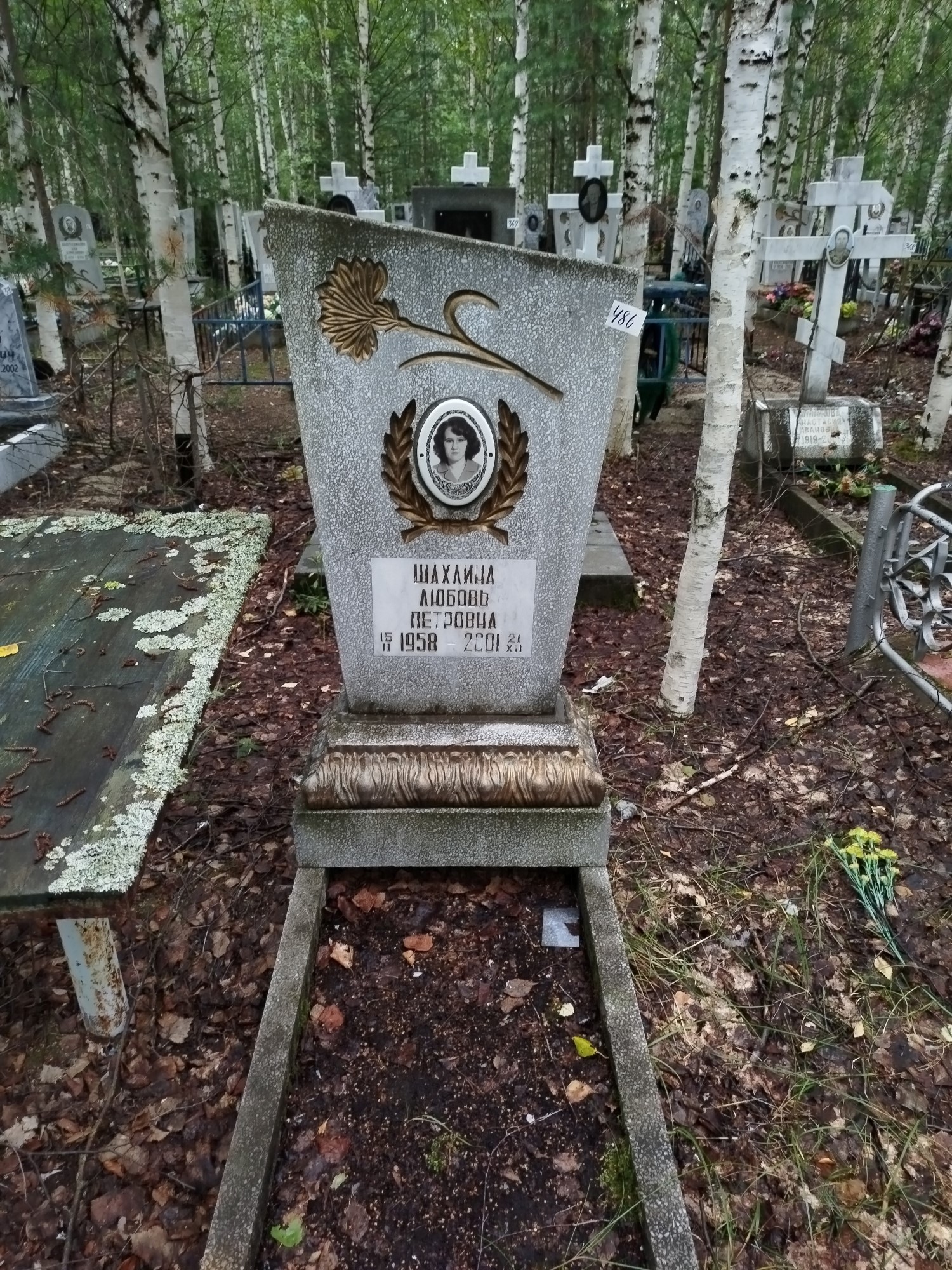 Шахлина Любовь Петровна