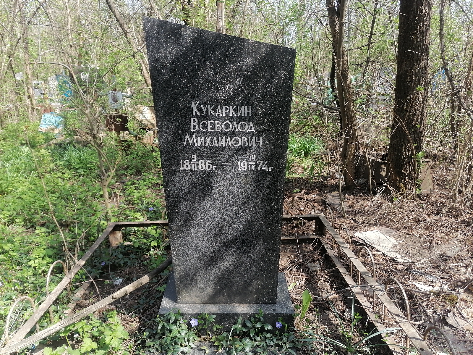 Кукардин Всеволод Михайлович