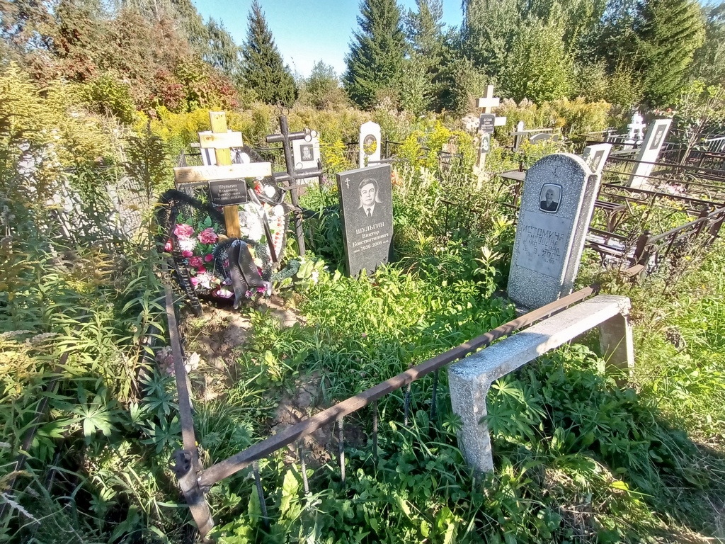 Шульгин Виктор Константинович