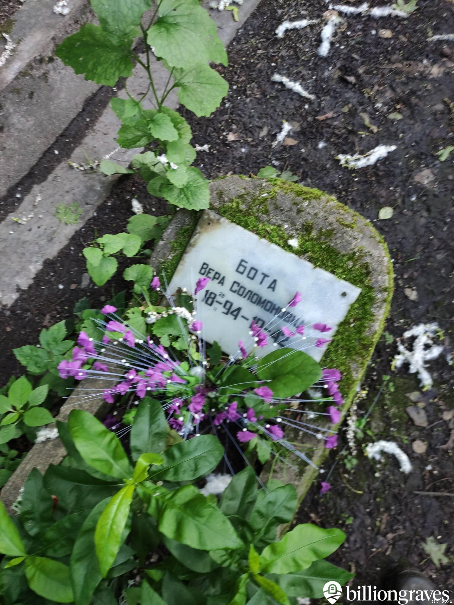 Бота Вера Соломоновна