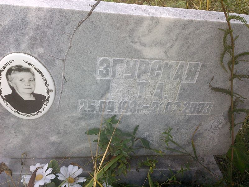 Т Згурская А