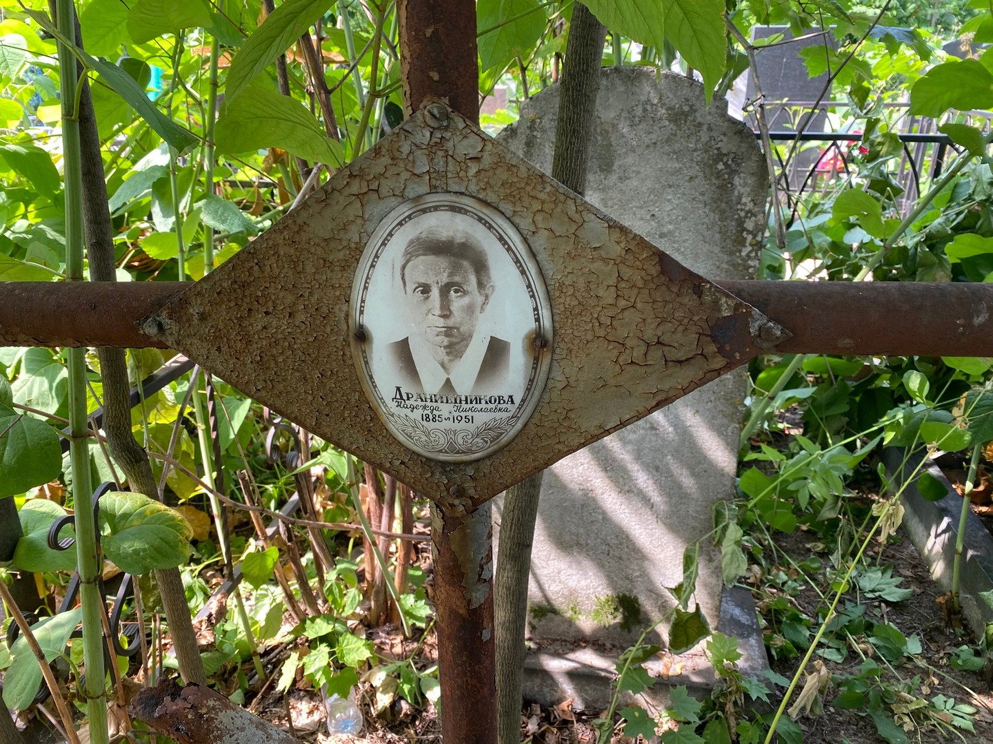 Дранишникова