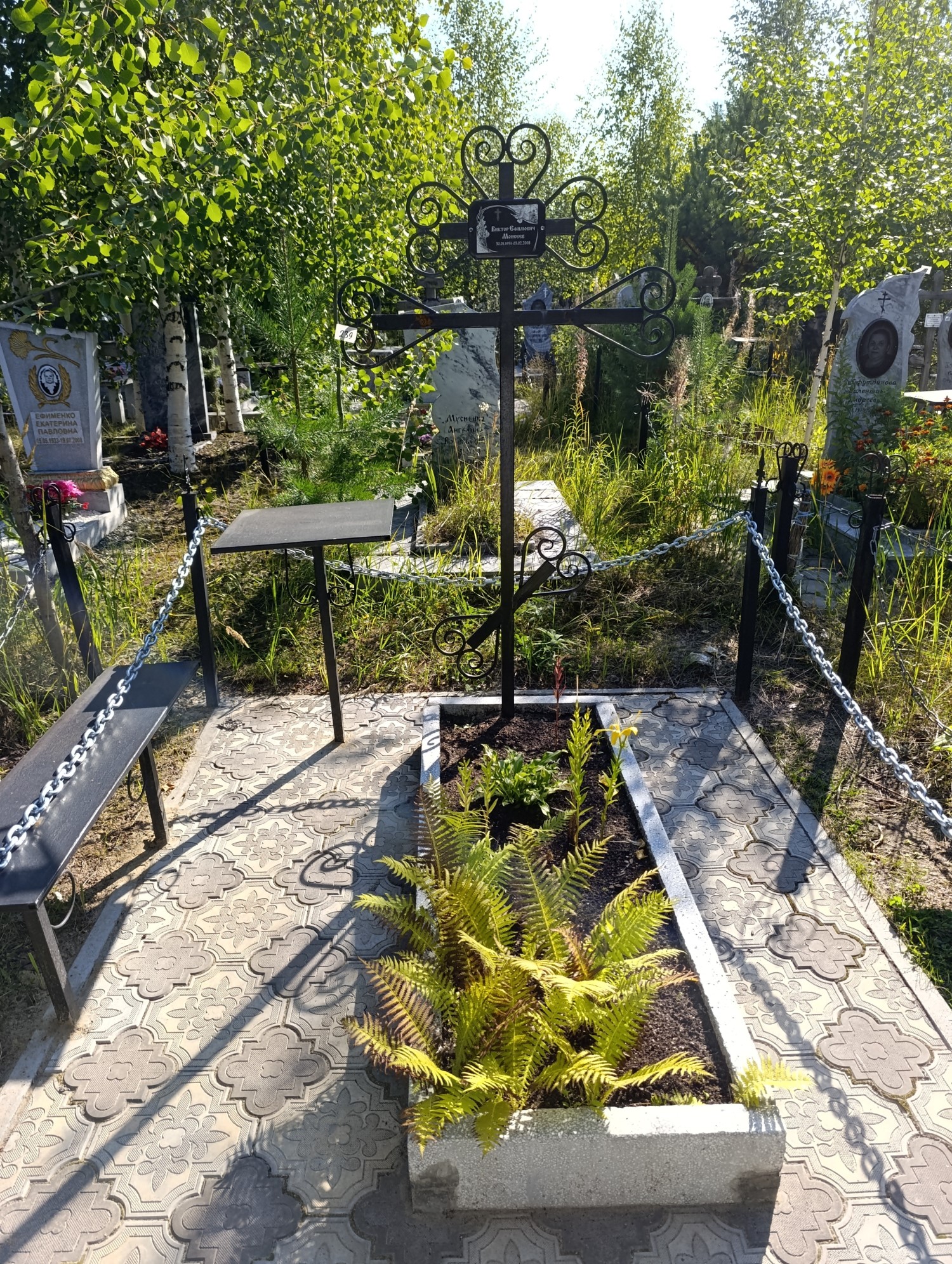 Моисеев Виктор Ефимович