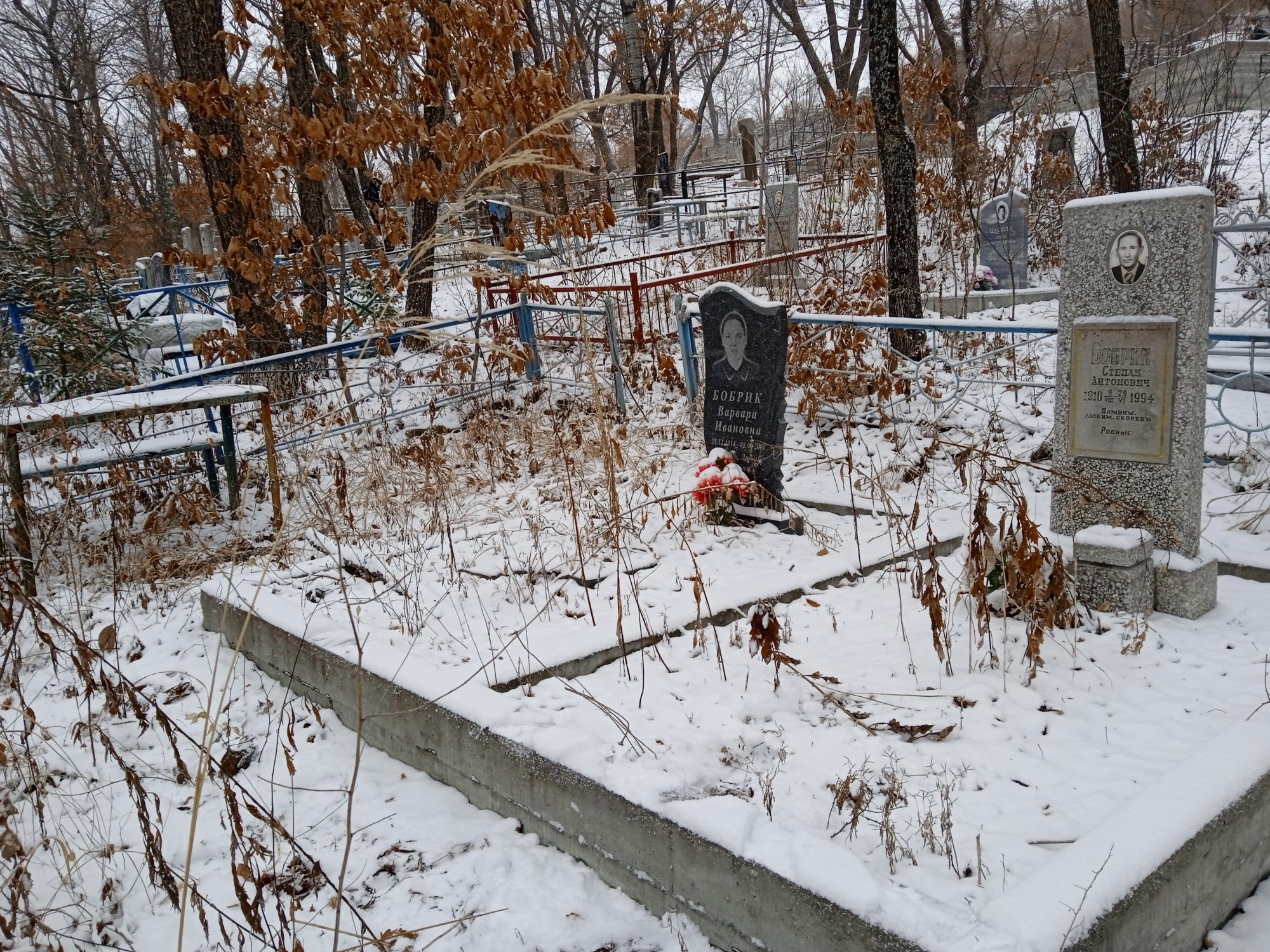 Бобрик Степан Антонович