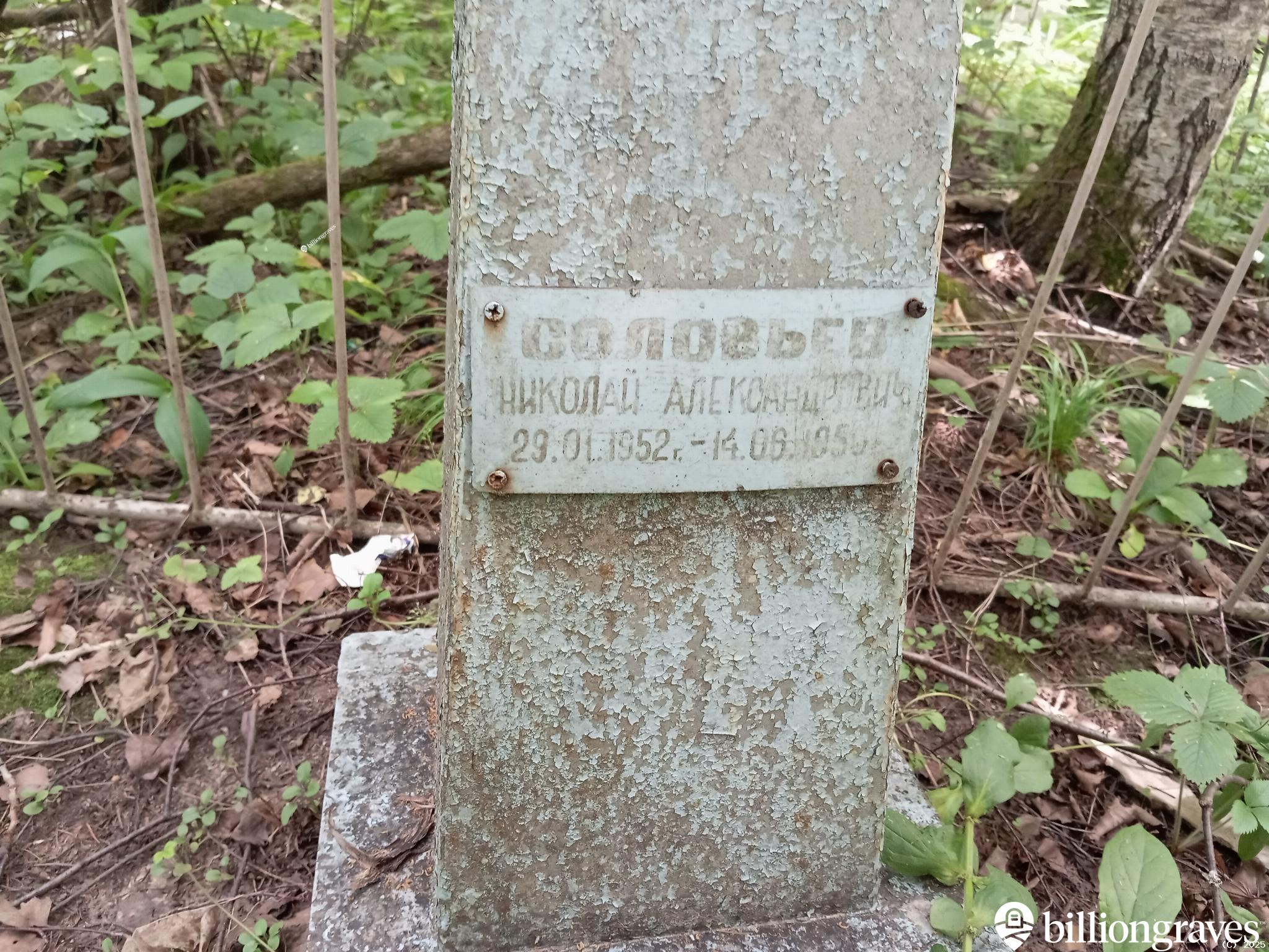 Соловьев Николай Александрович