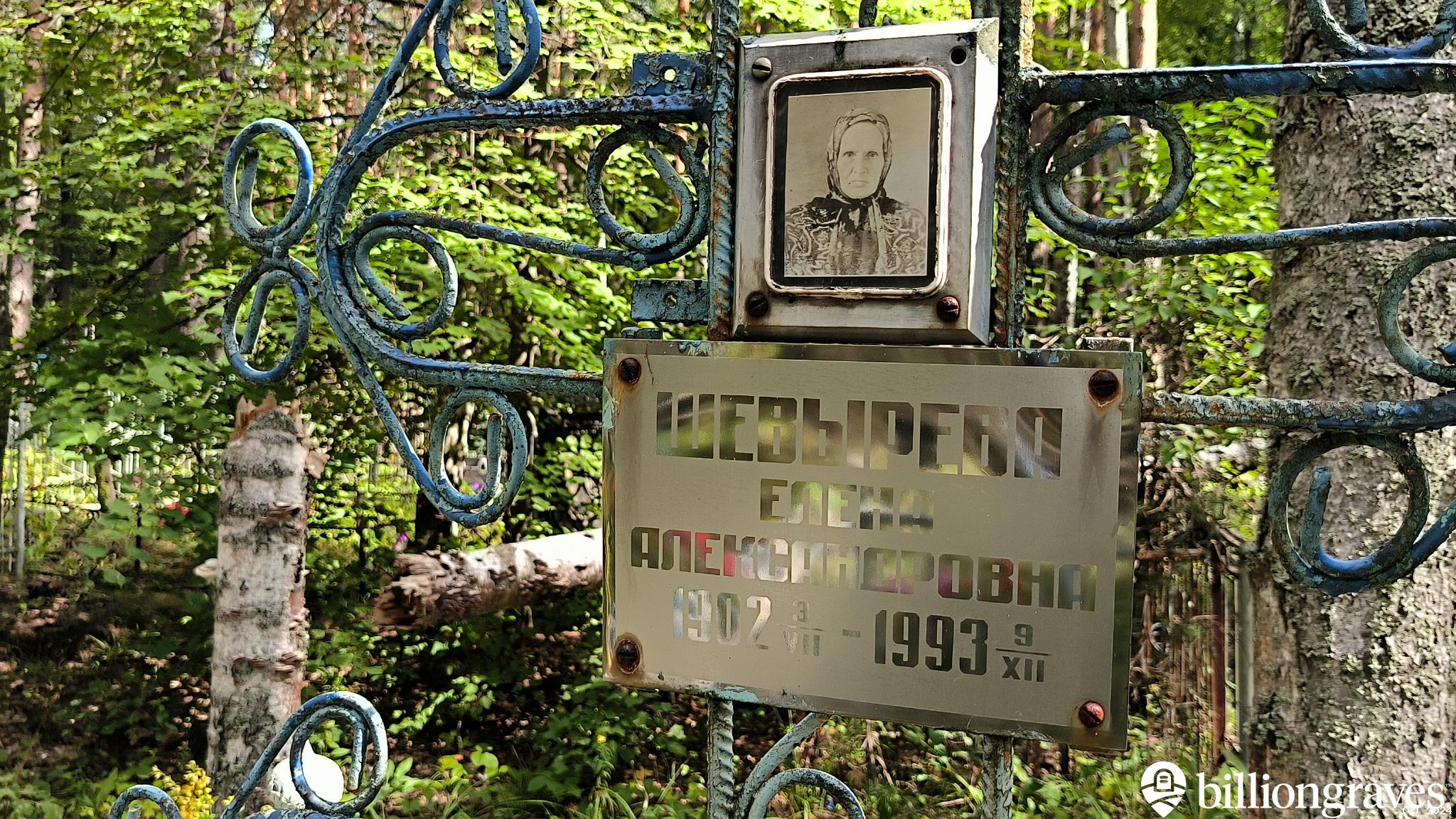 Шевырева Елена Александровна