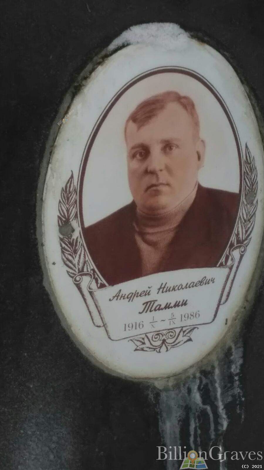 Тамми Андрей Николаевич