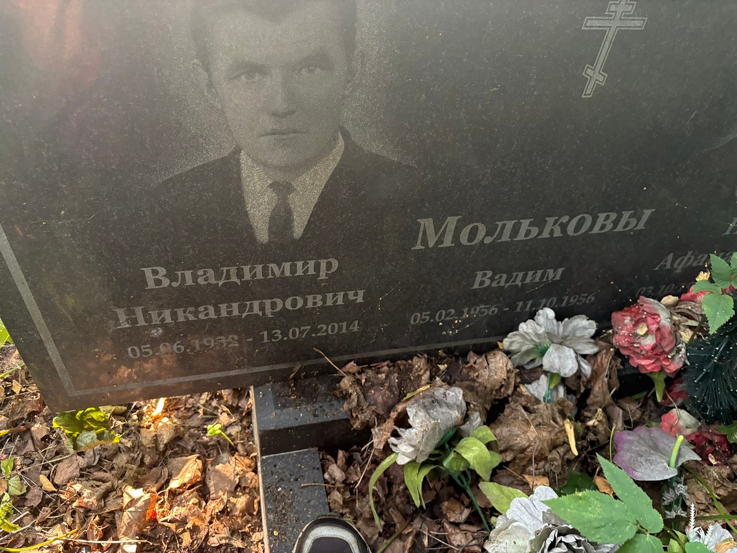 Мольков