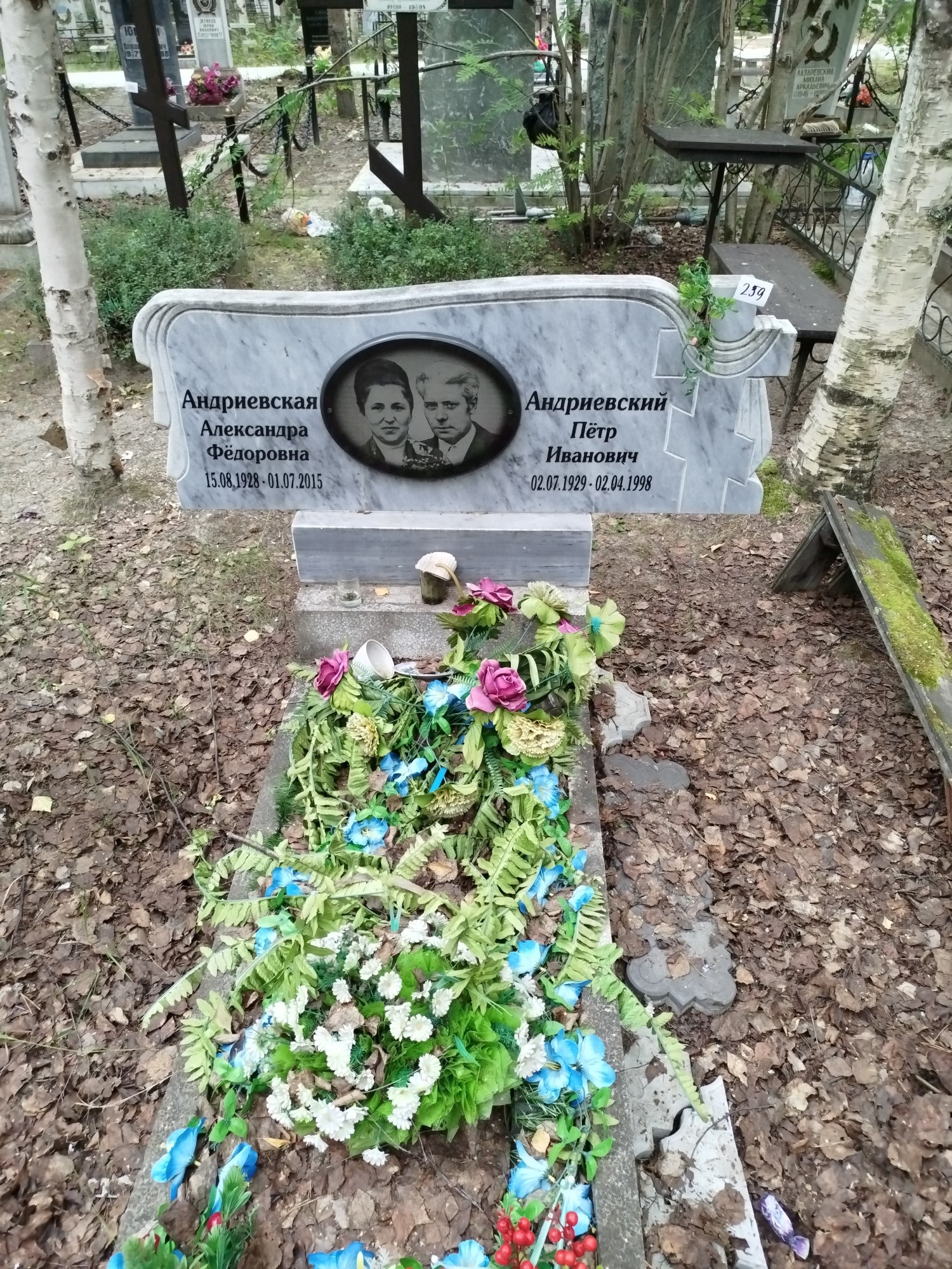 Андриевская Александра Фёдоровна
