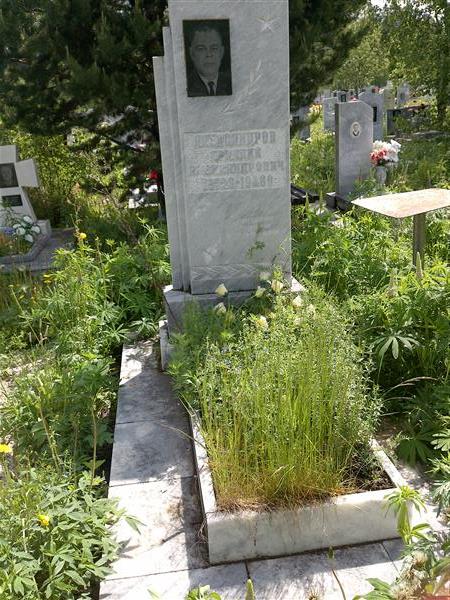 Александров Аркадий Александрович