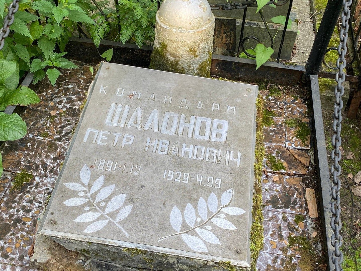 Шалонов