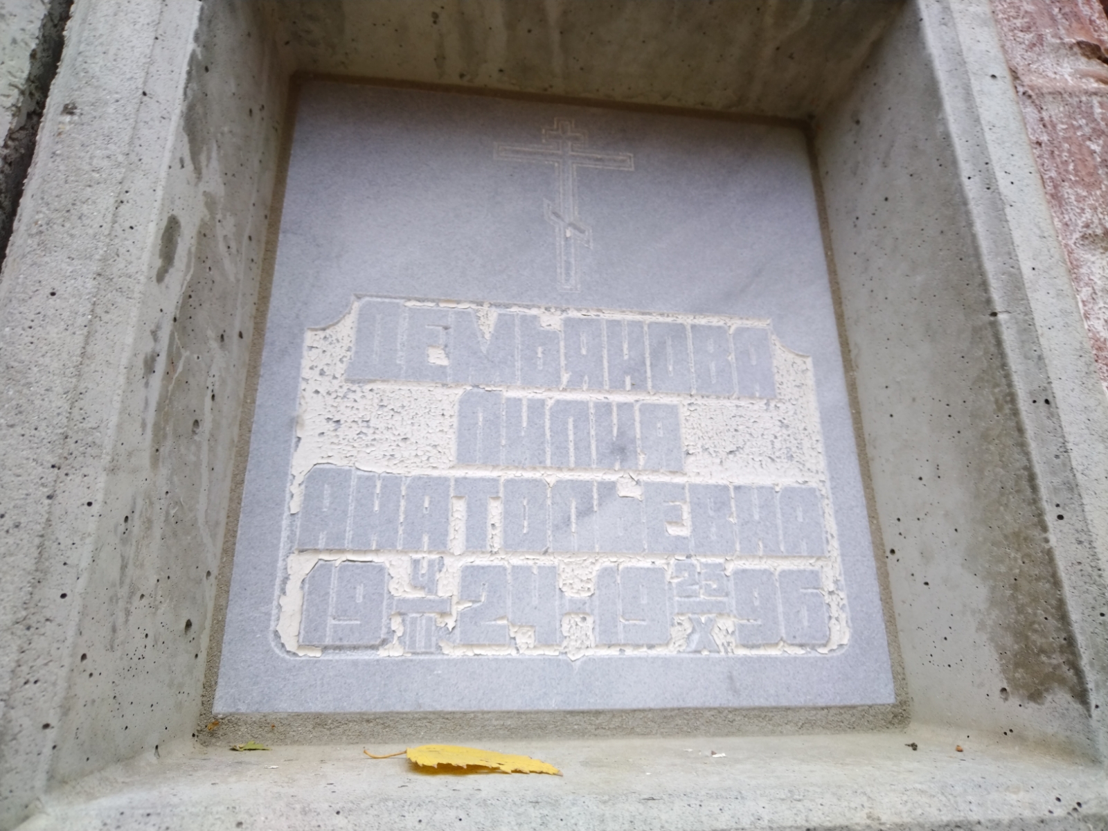 Демьянова Лилия Анатольевна