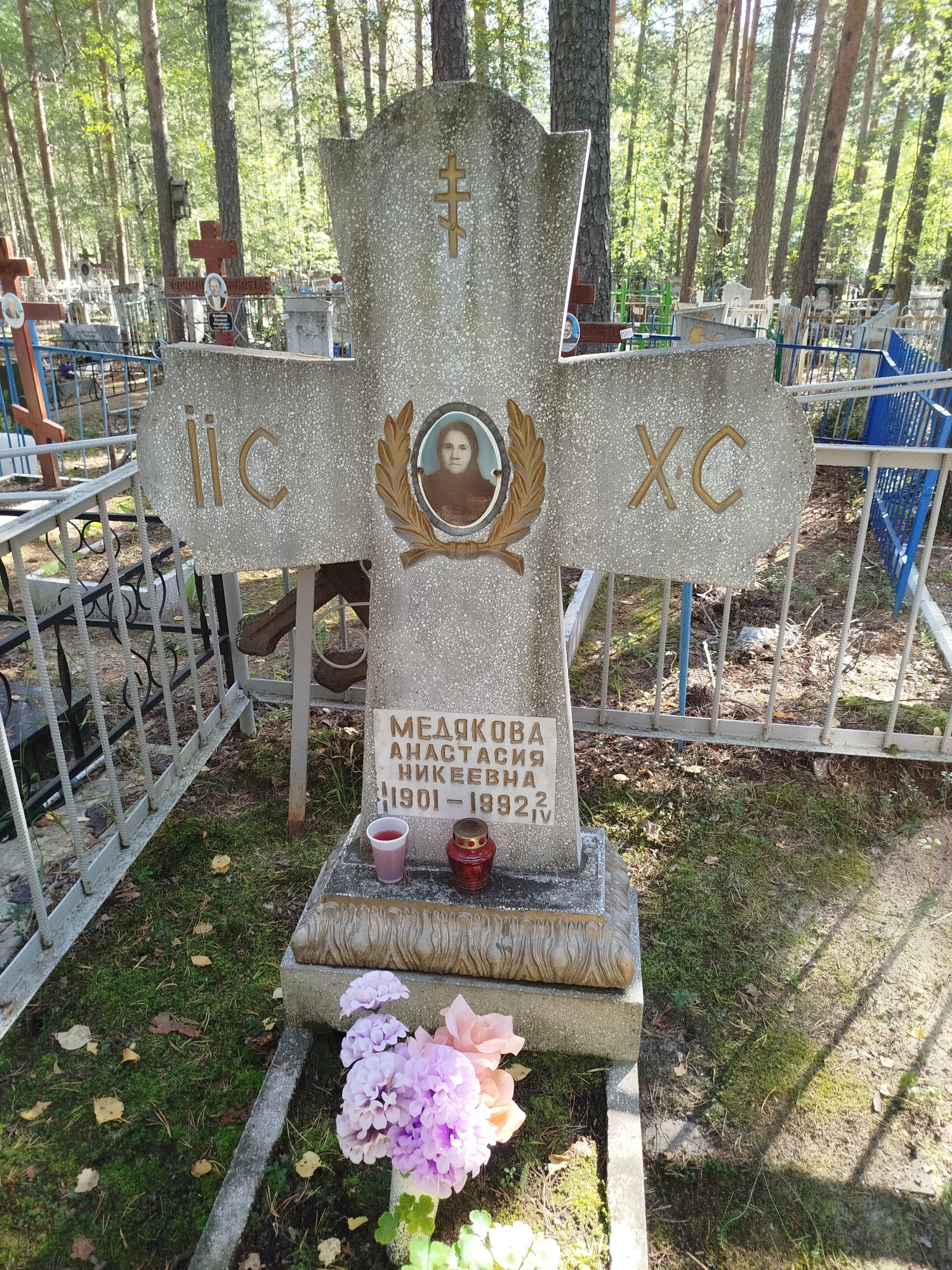 Медякова Анастасия Никеевна