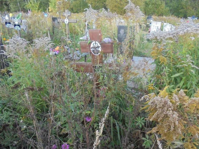 Телегин Михаил Константинович